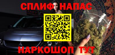 МДПВ Камышлов