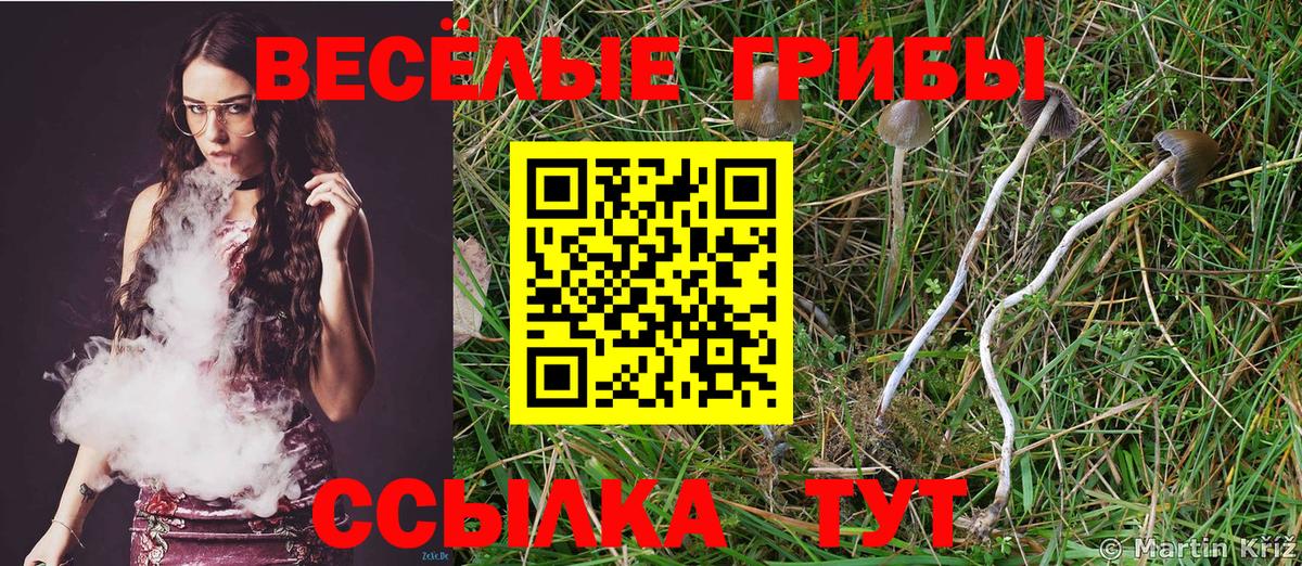 Галлюциногенные грибы ЛСД  Вход с VPN  Красноярск 